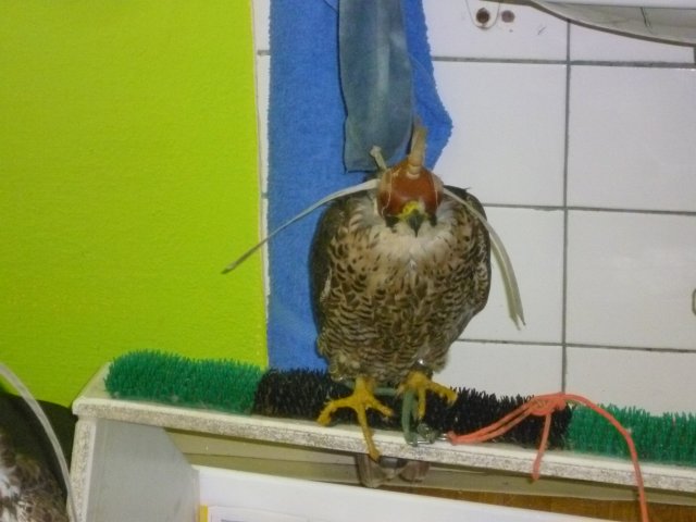 p1070502