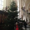 img_1495