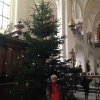 img_1496