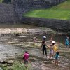 img_0504