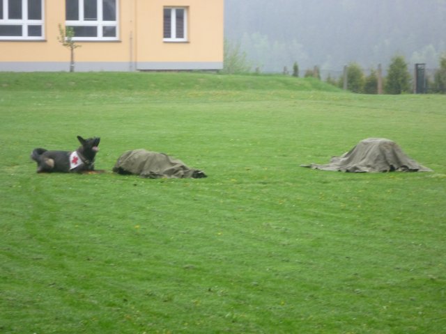 p1060691