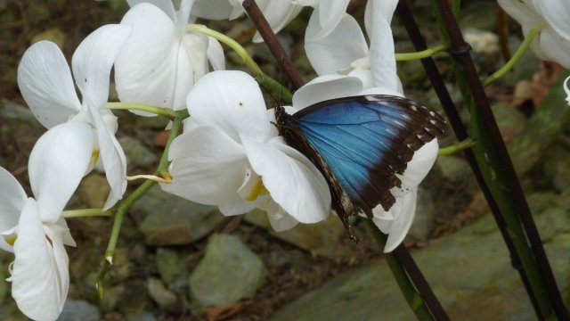 p1080255
