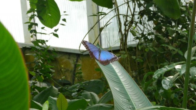 p1080285