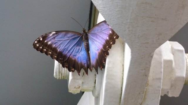 p1080299