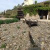 img_0324