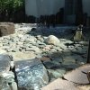 img_0367
