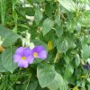 p1080357