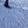 img_1648