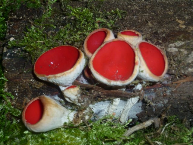 p1070532