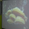 p1070530