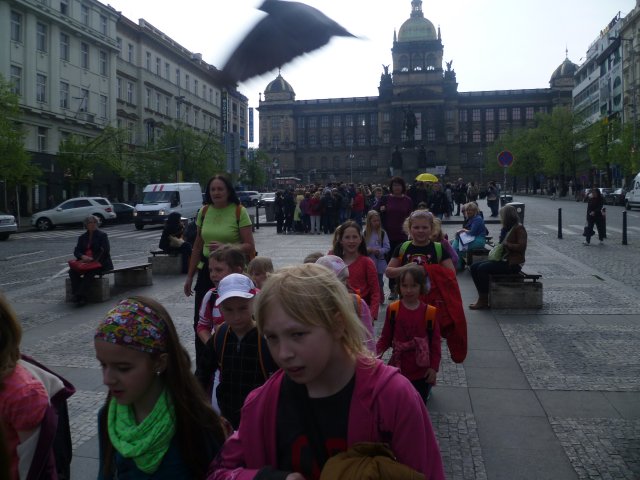 p1050233