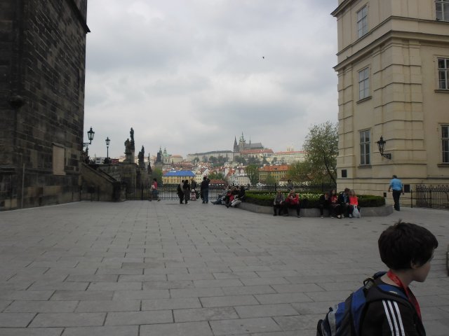 sam_0153