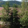 img_4262