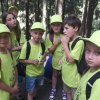 20170615_151044