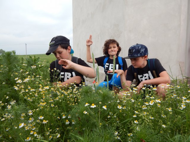 dscn0521