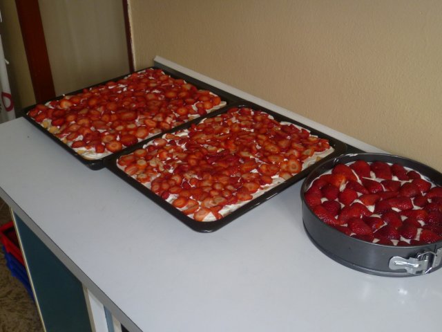 p1060728