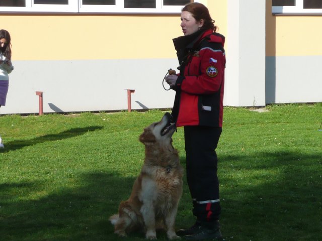 DEN ZEMĚ 20. 4. 2011 v areálu školy