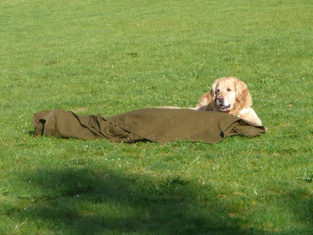 DEN ZEMĚ 20. 4. 2011 v areálu školy