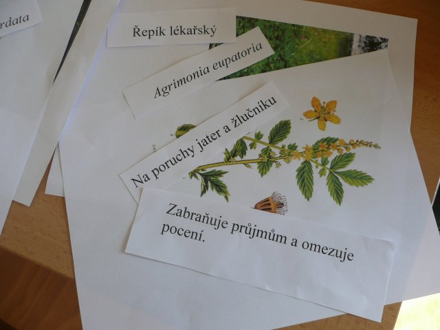DEN ZEMĚ 20. 4. 2011 v areálu školy