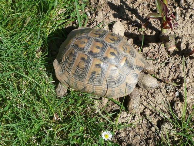 DEN ZEMĚ 20. 4. 2011 v areálu školy