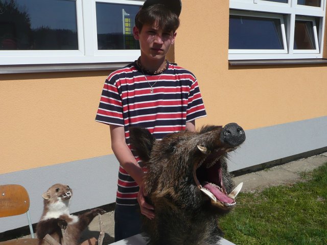 DEN ZEMĚ 20. 4. 2011 v areálu školy