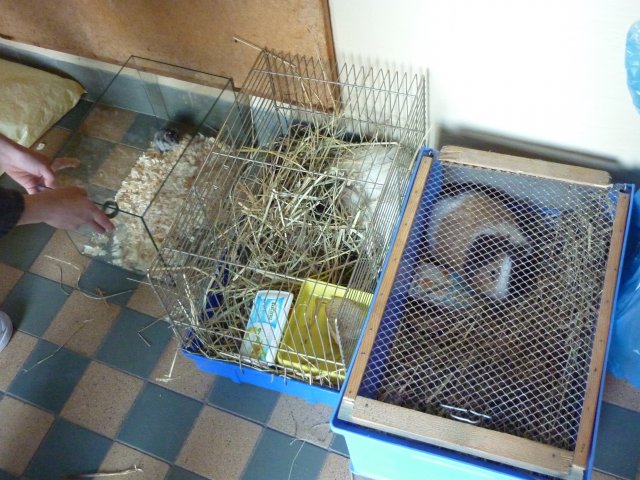 DEN ZEMĚ 20. 4. 2011 v areálu školy