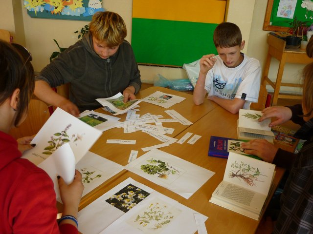 DEN ZEMĚ 20. 4. 2011 v areálu školy