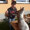 DEN ZEMĚ 20. 4. 2011 v areálu školy
