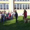 DEN ZEMĚ 20. 4. 2011 v areálu školy