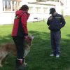 DEN ZEMĚ 20. 4. 2011 v areálu školy