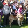 DEN ZEMĚ 20. 4. 2011 v areálu školy