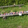 DEN ZEMĚ 20. 4. 2011 v areálu školy