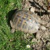 DEN ZEMĚ 20. 4. 2011 v areálu školy