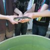 DEN ZEMĚ 20. 4. 2011 v areálu školy