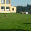 DEN ZEMĚ 20. 4. 2011 v areálu školy