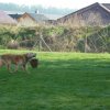DEN ZEMĚ 20. 4. 2011 v areálu školy