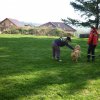 DEN ZEMĚ 20. 4. 2011 v areálu školy