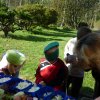 DEN ZEMĚ 20. 4. 2011 v areálu školy