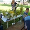 DEN ZEMĚ 20. 4. 2011 v areálu školy