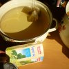DEN ZEMĚ 20. 4. 2011 v areálu školy