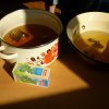 DEN ZEMĚ 20. 4. 2011 v areálu školy