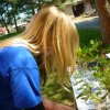 DEN ZEMĚ 20. 4. 2011 v areálu školy