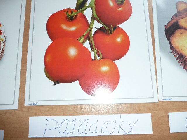 EU - Slovensko - projektový den 27.6.2011