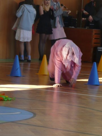Masopust 8. 3. 2011 v tělocvičně školy