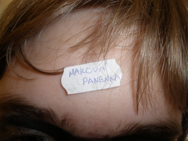 Masopust 8. 3. 2011 v tělocvičně školy