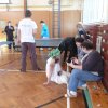 Masopust 8. 3. 2011 v tělocvičně školy