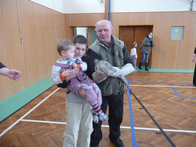 Plazi 28. 1. 2010