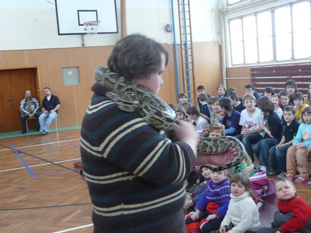 Plazi 28. 1. 2010