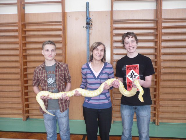Plazi 28. 1. 2010