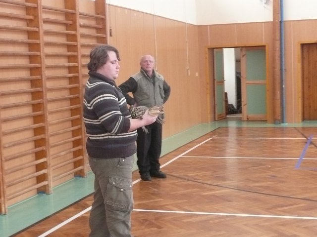 Plazi 28. 1. 2010